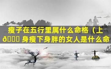 瘦子在五行里属什么命格（上 🐎 身瘦下身胖的女人是什么命）